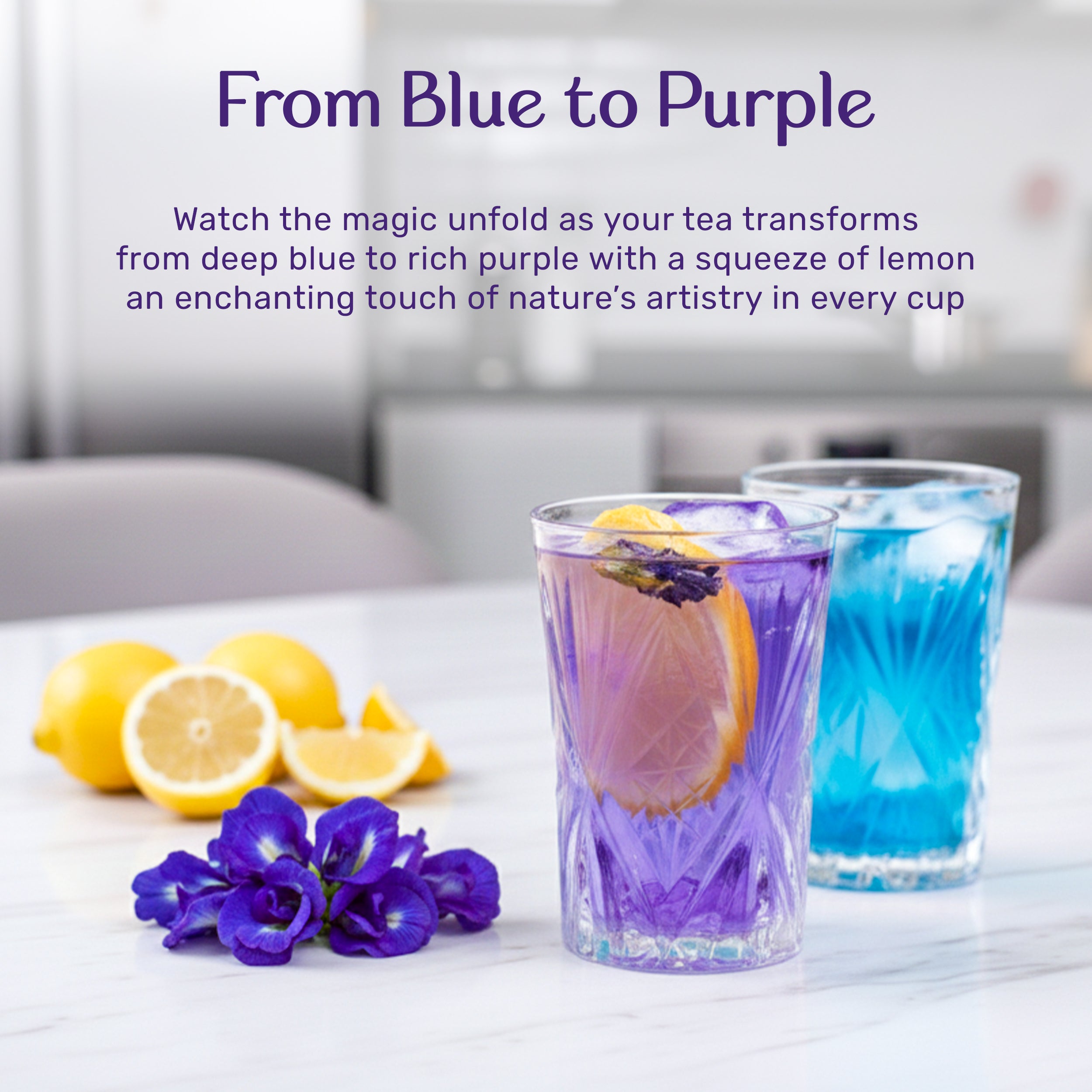 Organic Butterfly Pea Flower Tea